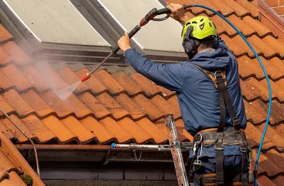 Démoussage et hydrofuge de toiture à Ratte
